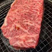 ヒメ日記 2026/05/19 17:49 投稿 みき 白いぽっちゃりさん五反田店