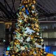 ヒメ日記 2025/12/19 12:53 投稿 セナ 那珂川角海老