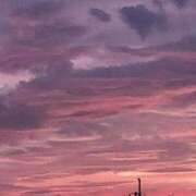 ヒメ日記 2025/06/24 11:31 投稿 はるな 東京妻next (京都グループ)