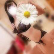 ヒメ日記 2025/08/02 20:26 投稿 はるな 東京妻next (京都グループ)