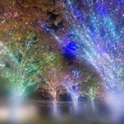 ヒメ日記 2025/11/22 21:26 投稿 はるな 東京妻next (京都グループ)