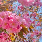 ヒメ日記 2025/06/09 15:49 投稿 もね オトナ女子倶楽部