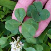 ヒメ日記 2025/05/18 08:13 投稿 美奈 千葉栄町ムンムン熟女妻