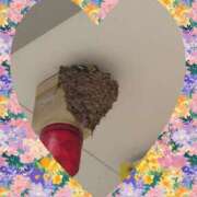 ヒメ日記 2025/07/09 17:20 投稿 美奈 千葉栄町ムンムン熟女妻