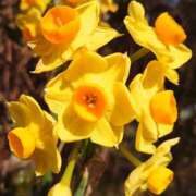 ヒメ日記 2026/02/22 19:42 投稿 美奈 千葉栄町ムンムン熟女妻