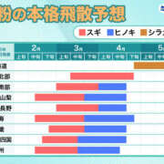 ヒメ日記 2026/02/24 17:02 投稿 美奈 千葉栄町ムンムン熟女妻