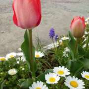 ヒメ日記 2026/03/23 17:27 投稿 美奈 千葉栄町ムンムン熟女妻