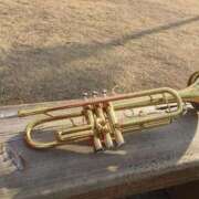 ヒメ日記 2025/07/18 07:10 投稿 ひびき 英乃國屋