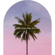 ヒメ日記 2025/08/30 13:01 投稿 ひびき 英乃國屋