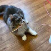 ヒメ日記 2025/10/26 16:22 投稿 ひびき 英乃國屋