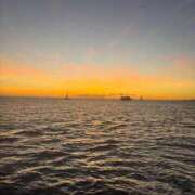 ヒメ日記 2025/11/22 15:54 投稿 ひびき 英乃國屋