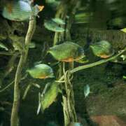 ヒメ日記 2025/11/28 17:15 投稿 ひびき 英乃國屋