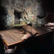 ヒメ日記 2025/12/10 17:15 投稿 ひびき 英乃國屋