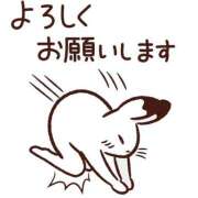 ヒメ日記 2026/02/13 21:46 投稿 ひびき 英乃國屋