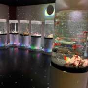 ヒメ日記 2026/02/14 19:46 投稿 ひびき 英乃國屋