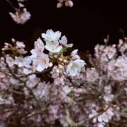 ヒメ日記 2026/04/11 16:29 投稿 ひびき 英乃國屋