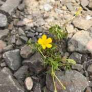 ヒメ日記 2025/07/29 22:42 投稿 わらび 熟女の風俗最終章 仙台店