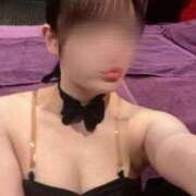 ヒメ日記 2025/08/24 00:54 投稿 ココロ バニーコレクション千葉栄町店