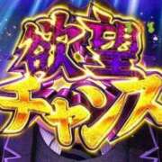 ヒメ日記 2026/10/16 15:47 投稿 ココロ バニーコレクション千葉栄町店