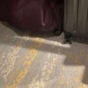 ヒメ日記 2025/09/01 02:31 投稿 うた♡超絶カワイイ小柄細身美女♡ 即生専門店ゴッドパイ