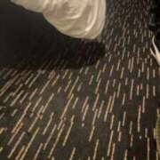 ヒメ日記 2025/09/04 04:24 投稿 うた♡超絶カワイイ小柄細身美女♡ 即生専門店ゴッドパイ