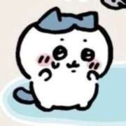 ヒメ日記 2025/11/26 03:44 投稿 うた♡超絶カワイイ小柄細身美女♡ 即生専門店ゴッドパイ