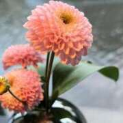 ヒメ日記 2025/06/24 14:18 投稿 ゆいな 西船人妻花壇