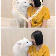 ヒメ日記 2025/07/10 12:00 投稿 あきほ 性腺熟女100％（デリヘル市場）