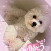 ヒメ日記 2025/07/03 14:04 投稿 はるな 鶯谷デリヘル倶楽部