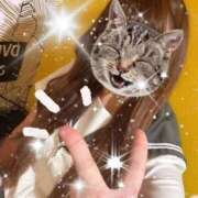 ヒメ日記 2025/09/18 00:15 投稿 かごめ ビデオDEはんど 名古屋校