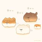 ヒメ日記 2025/09/28 11:55 投稿 かごめ ビデオDEはんど 名古屋校