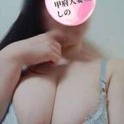 ヒメ日記 2025/05/16 12:49 投稿 しの 甲府人妻城