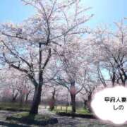 ヒメ日記 2026/04/06 14:23 投稿 しの 甲府人妻城