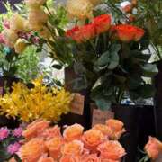 ヒメ日記 2025/05/23 01:48 投稿 武田(たけだ) 八王子人妻城