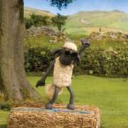 ヒメ日記 2026/01/04 21:21 投稿 みるあ ピンクコレクション大阪