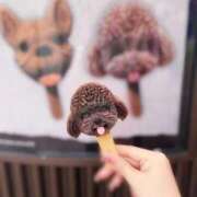 ヒメ日記 2025/10/26 18:52 投稿 みるあ ピンクコレクション尼崎店