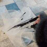 ヒメ日記 2025/05/09 18:19 投稿 月野 いと Men's relaxation VEGA