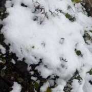 ヒメ日記 2026/02/08 14:52 投稿 『まゆ』 ESSENCE