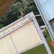 ヒメ日記 2025/08/10 10:49 投稿 そら ドMバスターズ岡崎・安城・豊田店