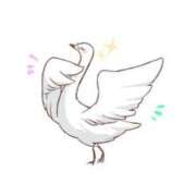 ヒメ日記 2025/05/07 18:46 投稿 さき ギャルサー