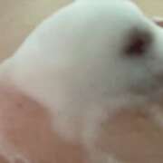 ヒメ日記 2025/06/03 22:40 投稿 さくら（奴隷） SM倶楽部ヴィーナス