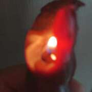 ヒメ日記 2025/06/12 06:49 投稿 さくら（奴隷） SM倶楽部ヴィーナス