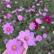 ヒメ日記 2025/11/05 07:30 投稿 さくら（奴隷） SM倶楽部ヴィーナス