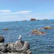 ヒメ日記 2025/11/06 07:30 投稿 さくら（奴隷） SM倶楽部ヴィーナス