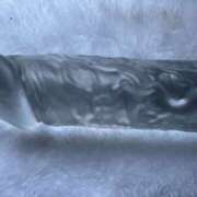 ヒメ日記 2025/12/24 08:00 投稿 さくら（奴隷） SM倶楽部ヴィーナス