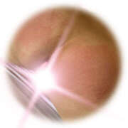 ヒメ日記 2026/01/08 08:41 投稿 さくら（奴隷） SM倶楽部ヴィーナス