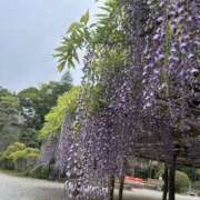 ヒメ日記 2026/04/23 10:49 投稿 さくら（奴隷） SM倶楽部ヴィーナス