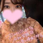 ヒメ日記 2025/09/08 20:09 投稿 みみ OOPS(オップス)