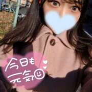 みみ おはよう🩵 OOPS(オップス)