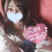 ヒメ日記 2025/12/08 18:35 投稿 みみ OOPS(オップス)